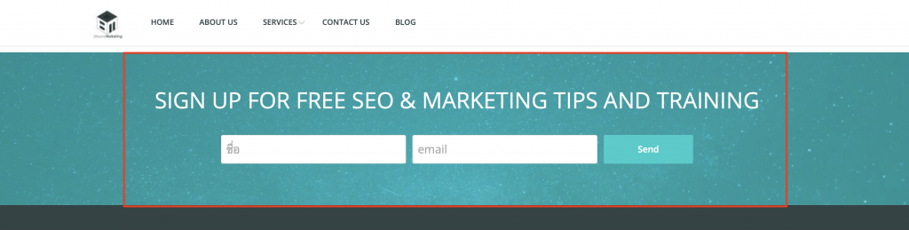 signup for seo & marketing tips