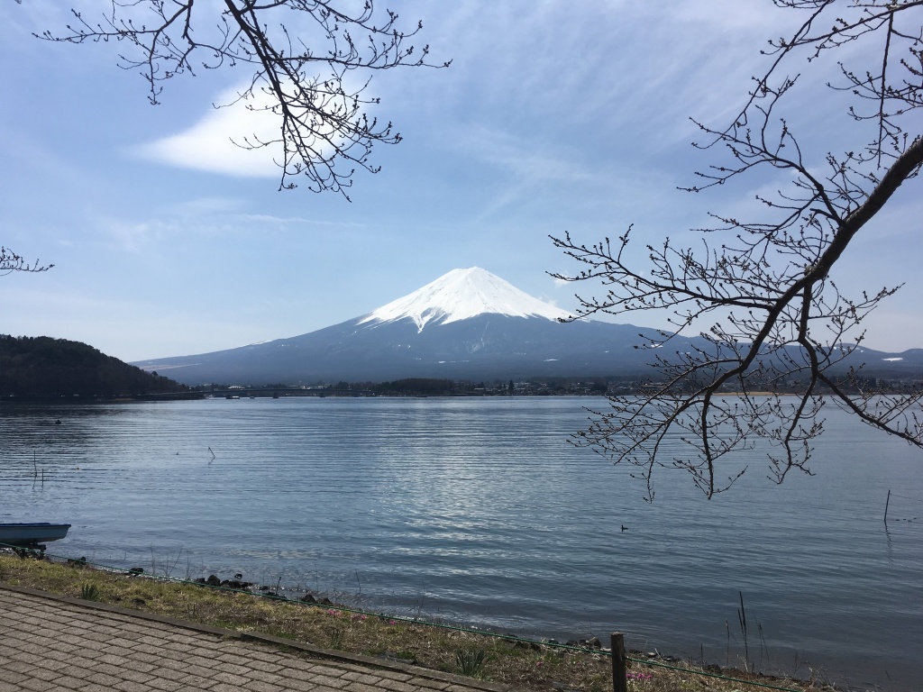 fuji mountain tokyo japan